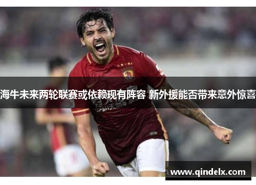 海牛未来两轮联赛或依赖现有阵容 新外援能否带来意外惊喜